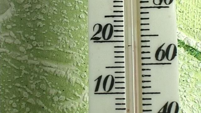 ПЛЭН-пленочный лучистый электронагреватель смотреть онлайн