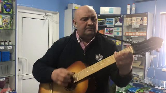 Лысый под гитару-Не забыть мне никогда... смотреть онлайн