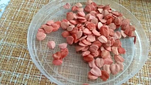 Красим косточки черешни и калины гуашью смотреть онлайн