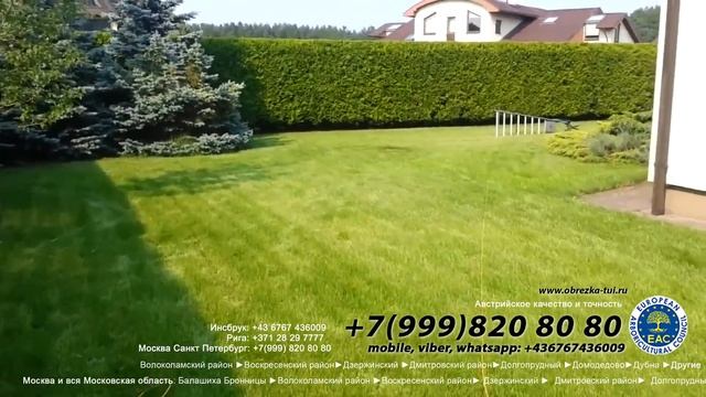 OBREZKA-TUI.com ☎ +79990008108 Стрижка туй обрезка живой изгороди цена обрезка туй смотреть онлайн