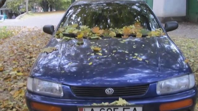 Осень смотреть онлайн