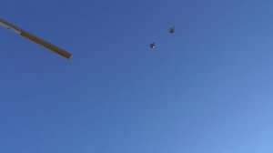 Крымская бабочка  БК торцовые голуби