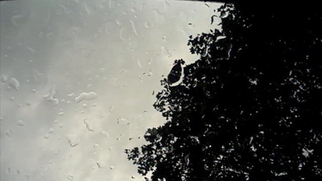 Zoom In - 2013 Mercedes-Benz SLK 55 AMG Magic Sky Control