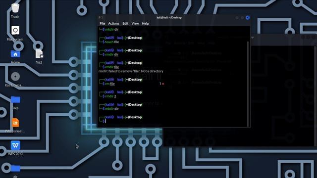Kali Linux For Beginners - How do I delete a file in Kali Linux terminal? смотреть онлайн