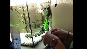 Как наклеить фон на аквариум? Задний фон в аквариум.