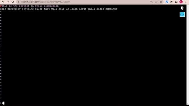 0x01 Shell, Permission 100% Complete & well Explained смотреть онлайн