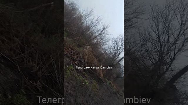 Выведенный из строя украинский БТР-4Е в районе Бахмута. смотреть онлайн