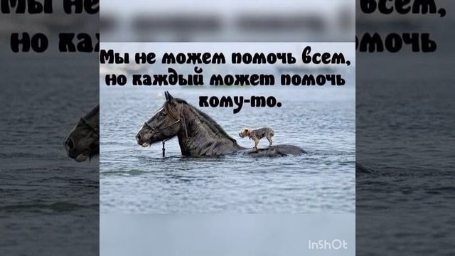 ПАСТОРУ СЛУЖИТЕЛЮ БОЖЬЕМУ. Читает Новожилова З.Г. Автор: Марина Павлова. смотреть онлайн