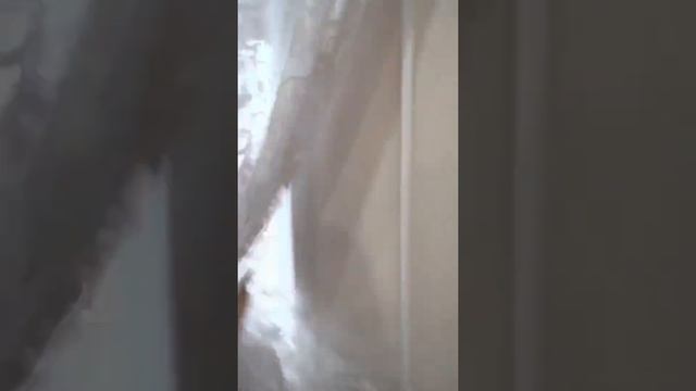 Папина 37 смотреть онлайн