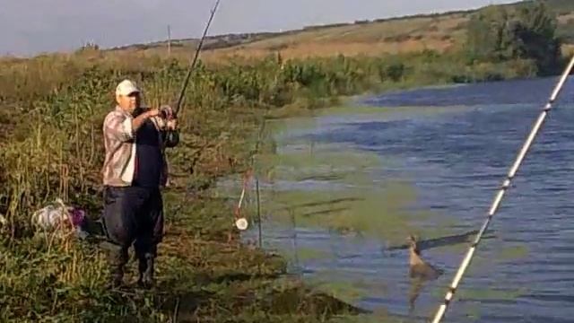 Рыбалка в Новочеркасске!!! Аксайский карась...х.Б.Мишкин смотреть онлайн