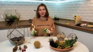 Как сделать флорариум с суккулентами своими руками. Композиции из суккулентов для новичков.