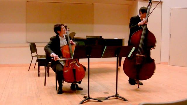 Trollssini Cello and Bass Duet in T Major смотреть онлайн