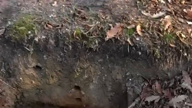 AKA Intronik STF coin test смотреть онлайн