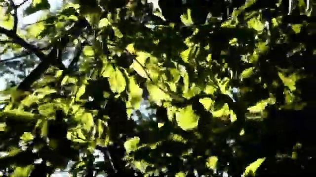 ПОХОД НА БОРОДАВКУ 2021 смотреть онлайн