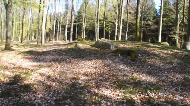 Klosterriis Hegn Langdysse 2 смотреть онлайн