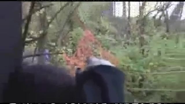 Liz Vicious Succubus_behind_the_scenes_(hauling_away_dead_bodies) смотреть онлайн