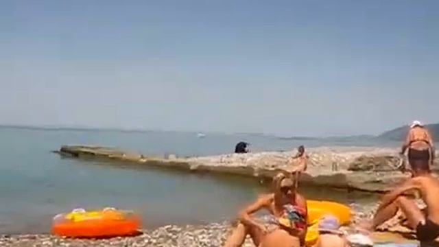 Купание Гагрского пса смотреть онлайн