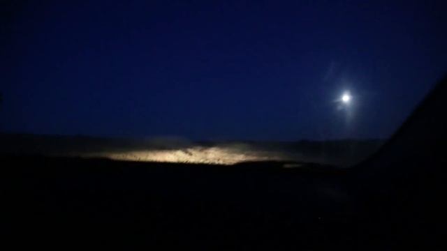 За эубками древних акул и костистых рыб на берег Сырдарьи. смотреть онлайн