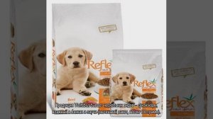 Холистик: корм для собак мелких пород, что это, рейтинг