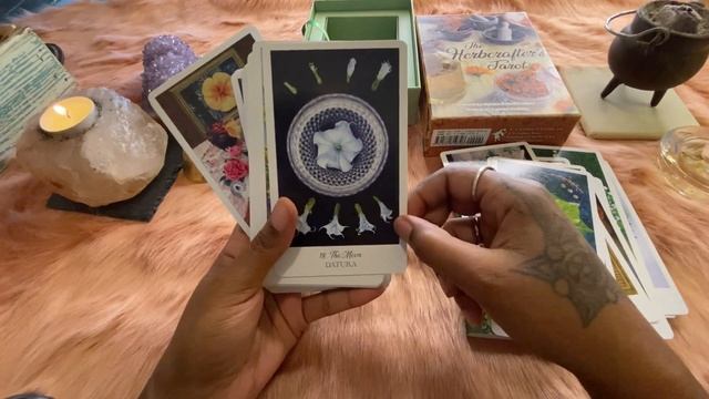 Flip Thru and Review | The Herbcrafter's Tarot смотреть онлайн
