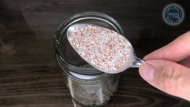 Шоковая Подкормка Которая Заставит Денежное Дерево Цвести В Захлеб! смотреть онлайн