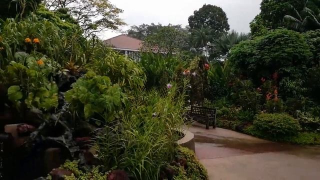 Парк орхидей в Сингапуре смотреть онлайн