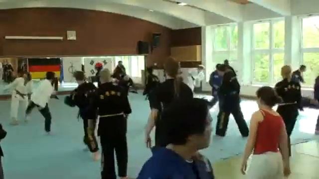 Gongkwon Yusul special seminar in Germany Korea jiu jitsu Hakido! смотреть онлайн