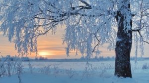 Печальная берёза, Афанасий Фет  ,Русская Поэзия , читает Павел Беседин