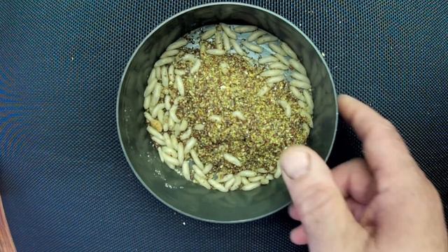 КАК ВЫРАСТИТЬ ЧИСТОГО ОПАРЫША  БЕЗ ЗАПАХА  даже на балконе