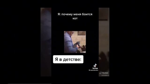 Мем из тик тока смотреть онлайн