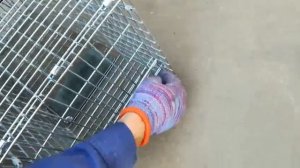 Котоловка 79х33х28. Клетка- ловушка для животных.