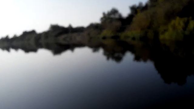 Неман обь3 Honda Bf50 винт 14