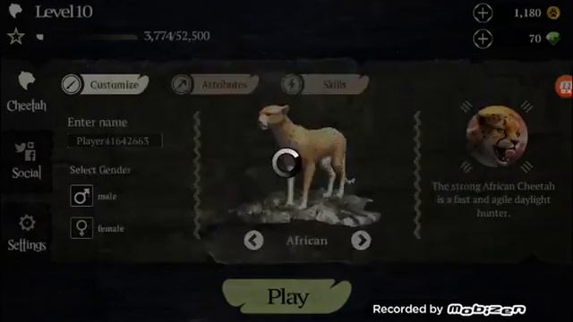 Симулятор леопарда, simulator смотреть онлайн