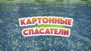 Маша и Медведь, Картонные спасатели, 134 серия