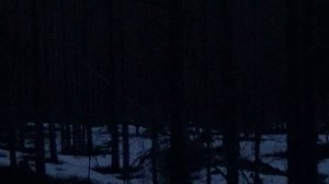 НА ИЗБУ С НОЧЕВКОЙ / ОХОТА НА ГЛУХАРЯ НА ТОКУ / ВЕСЕННЯЯ ОХОТА 2021 / РЫБАЛКА