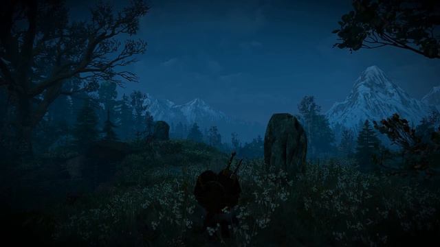 Witcher 3 - Night Meditation Blandare смотреть онлайн