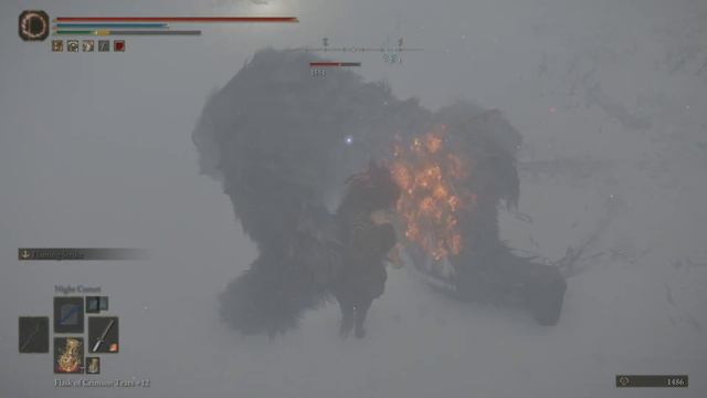 ELDEN RING Consecrated snowfield secret grizzly bear fight for a larval tear смотреть онлайн