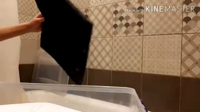 Уборка у улиток Ахатин// уход за Ахатинами // Ахатины фулики