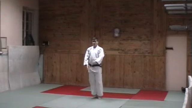 Aikido Yoshinkan. Kihon Dosa. Shumatsu Dosa 2 смотреть онлайн
