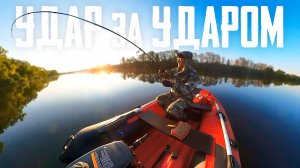 УДАР за УДАРОМ на этот УНИКАЛЬНЫЙ ВОБЛЕР!!!