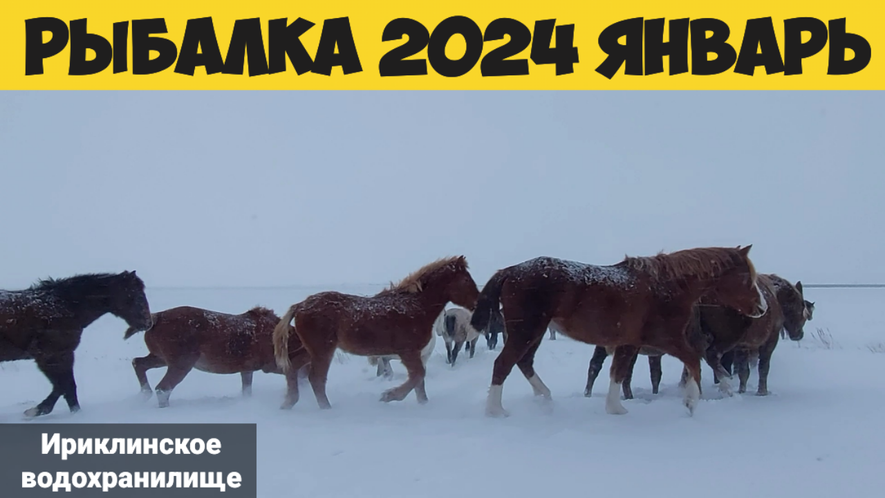 Зимняя рыбалка 2024 Январь Ириклинское водохранилище смотреть онлайн