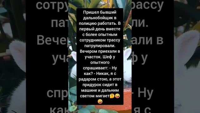 Очень смешной анекдот. Анекдот про дальнобойщика. смотреть онлайн