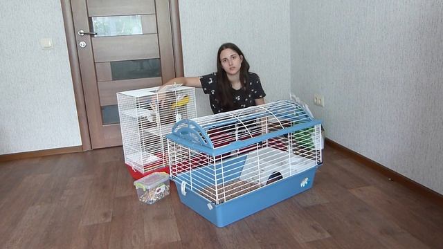 У КРЫС новый ДОМ! Переселение крыс) смотреть онлайн