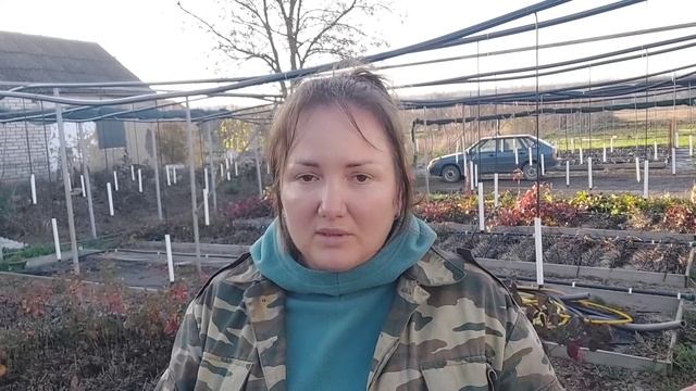 Индивидуальный полив контейнерных саженцев стрелками