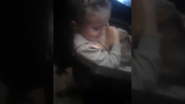 Кошка соскучилась по хозяйке. смотреть онлайн