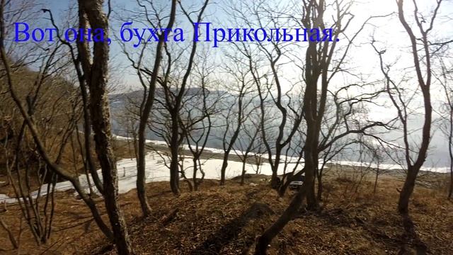 Бухта Прикольная остров Русский смотреть онлайн