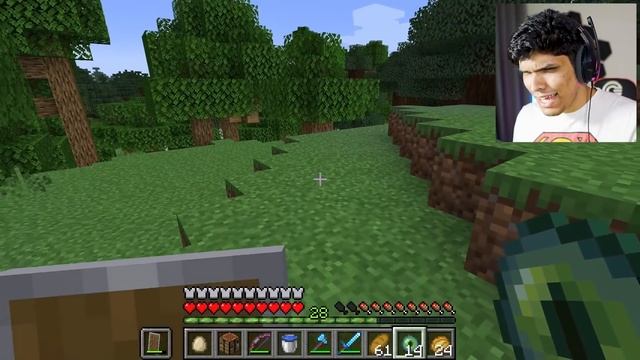 DEFEATING THE ENDER DRAGON! (Minecraft #24) смотреть онлайн