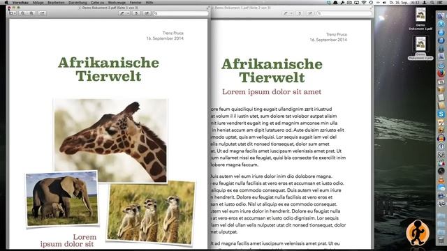 Mac für Newbies | PDF erstellen bearbeiten und signieren | Tutorial смотреть онлайн