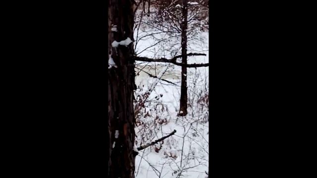 р. Ташина 2019 год смотреть онлайн