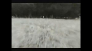 Обморочные козы. Малейший стресс - полный паралич